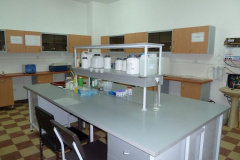 cell lab3
